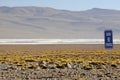 Laguna Colorada, Altiplano, Bolivian Andes Royalty Free Stock Photo