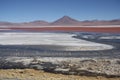 Laguna Colorada in Avaroa National Park in Bolivia