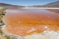 Laguna Colorada - Bolivia Royalty Free Stock Photo