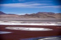 Laguna Colorada in Cordillera de Lipez, Bolivia