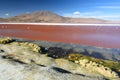 Laguna Colorada. Eduardo Avaroa Andean Fauna National Reserve. Bolivia