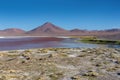 Laguna Colorada Red Lagoon, Bolivia Royalty Free Stock Photo