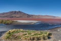 Laguna Colorada Red Lagoon, Bolivia Royalty Free Stock Photo