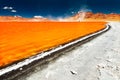 Laguna Colorada Royalty Free Stock Photo