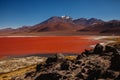 Laguna colorada in reserva Eduardo Avaroa, Bolivia Salar de uyuni altiplano