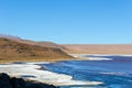 Laguna Colorada, shallow salt lake in the southwest of the altiplano of Bolivia