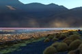 Laguna Colorada, shallow salt lake in the southwest of the altiplano of Bolivia