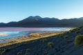 Laguna Colorada, shallow salt lake in the southwest of the altiplano of Bolivia