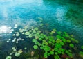 Laguna de Bacalar Lagoon in Mayan Mexico