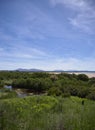 Laguna de Fuente de Piedra, a Nature Reserve with Halophyte vegetation and several species of Wading Birds in Andalucia.