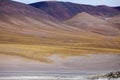 Laguna Grande in the Catamarca Province at Puna de Atacama, Argentina