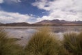 Laguna Hedionda in Bolivia Royalty Free Stock Photo