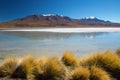 Laguna Hedionda is one of nine small salt lakes in the Andean Altiplan, Bolivia Royalty Free Stock Photo