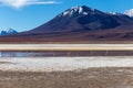 Flamingos in Laguna Hedionda, lagoon located in the Bolivian Altiplano near the Uyuni Salt Flat in Bolivia