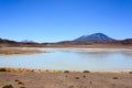 Laguna Honda view, Bolivia