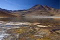 Laguna Miscanti in the Atacama Desert - Chile Royalty Free Stock Photo