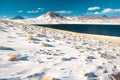 Laguna Miscanti Miscanti Lagoon and Cerro Miscanti Miscanti hill in the Altiplano High Andean Plateau at an altitude of 4350