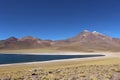 Laguna Miscanti and MiÃÂ±iques, Atacama Desert, Chile. Miscanti and MiÃÂ±iques Vulcan Royalty Free Stock Photo