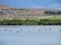 Laguna Nimez reserve landscape in a summer day