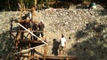 A team of men gather stones to build rip rapped structure.