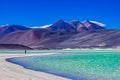 Laguna Salar de Talar with the Andes Mountain, San Pedro de Atacama, Antofagasta Region, Chile Royalty Free Stock Photo