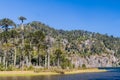 Laguna Toro lake in National Park Huerquehue