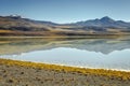 Laguna Tuyajto, salt lake in Atacama desert, volcanic landscape, Chile Royalty Free Stock Photo