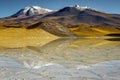 Laguna Tuyajto, salt lake in Atacama desert, volcanic landscape, Chile Royalty Free Stock Photo