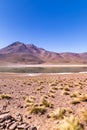 Lagunas Altiplanicas, Miscanti y Miniques, amazing view at Atacama Desert. Chile