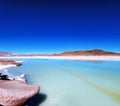 Lagunas altiplanicas environment in Atacama desert
