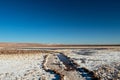 The Lagunas Escondidas hidden altiplanic lagoons of Baltinache : salt lakes in Salar of Atacama desert, Chile Royalty Free Stock Photo