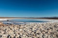 The Lagunas Escondidas hidden altiplanic lagoons of Baltinache : salt lakes in Salar of Atacama desert, Chile Royalty Free Stock Photo