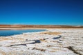 The Lagunas Escondidas hidden altiplanic lagoons of Baltinache : salt lakes in Salar of Atacama desert, Chile Royalty Free Stock Photo