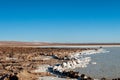 The Lagunas Escondidas hidden altiplanic lagoons of Baltinache : salt lakes in Salar of Atacama desert, Chile Royalty Free Stock Photo
