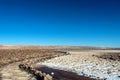 The Lagunas Escondidas hidden altiplanic lagoons of Baltinache : salt lakes in Salar of Atacama desert, Chile Royalty Free Stock Photo