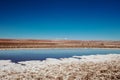 The Lagunas Escondidas hidden altiplanic lagoons of Baltinache : salt lakes in Salar of Atacama desert, Chile Royalty Free Stock Photo