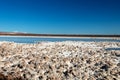 The Lagunas Escondidas hidden altiplanic lagoons of Baltinache : salt lakes in Salar of Atacama desert, Chile Royalty Free Stock Photo