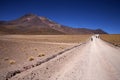 Lagunas Miscanti and Meniques