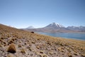 Lagunas Miscanti and Meniques