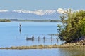 Lagoon of Grado and snow-covered Carnic alps Royalty Free Stock Photo