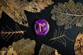 Laguz rune, prediction of the day Royalty Free Stock Photo