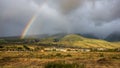 Lahaina Maui Rainbow