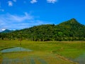 Lahat Agriculture in Asia that present rice or rice used as staple food