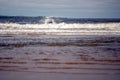 Lahinch town, Ireland - 08.06.2020 : Beautiful women surfing in the ocean in wet suit. Atlantic ocean. Outdoor activity, Aqua