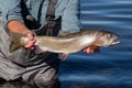 Lahotan cutthroat trout caught and released from Pyramid Lake, Nevada