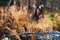 The laid out inscription nature from wooden cubes. Birch fallen tree in the autumn forest. The concept of nature