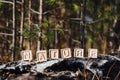 The laid out inscription nature from wooden cubes. Birch fallen tree in the autumn forest. The concept of nature