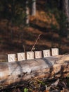The laid out inscription nature from wooden cubes. Birch fallen tree in the autumn forest. The concept of nature