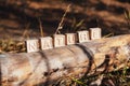 The laid out inscription nature from wooden cubes. Birch fallen tree in the autumn forest. The concept of nature conservation