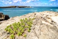 Laie sea arch and rocky cliff beach in oahu hawaii Royalty Free Stock Photo